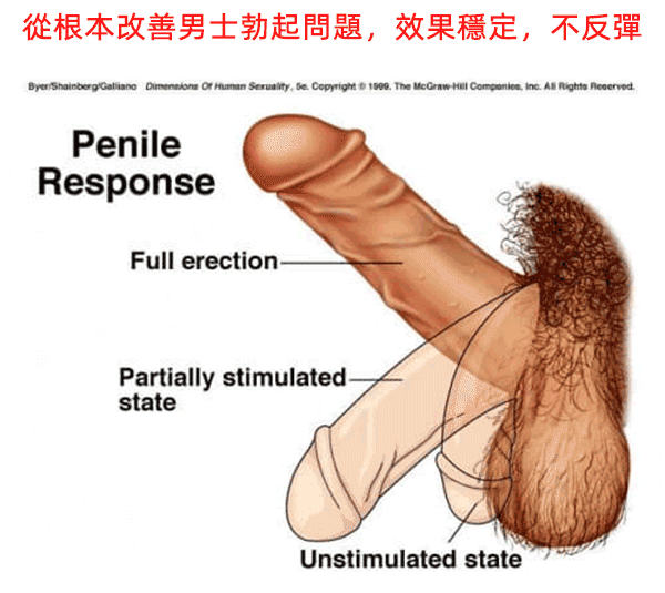 1760098173460423.gif jn1---副本_08.gif